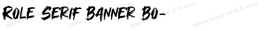Role Serif Banner Bo字体转换